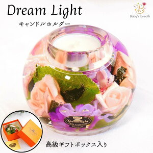 yiSALE 30% OFFzh[Cg t[ }[L[ Lh Lhz_[ n[oE   t[ ̓ NX}X Mtg v[g 蕨 a 