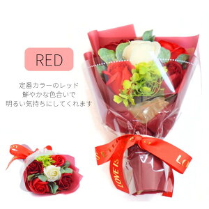 iu[P \[vt[ ԑ u[P \[v t[  o v[g Mtg ꂳ ΂  킢