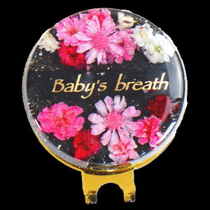 y\zy10OFFN[|zzzԂ̃St}[J[ ubNV[Y  Nbv }Olbg v[g ii LOi z[C Ry p 킢  