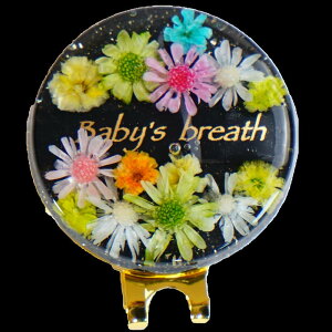 y\zy10OFFN[|zzzԂ̃St}[J[ ubNV[Y  Nbv }Olbg v[g ii LOi z[C Ry p 킢  