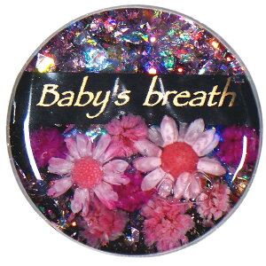 y\zy10OFFN[|zzzSt}[J[ ubNV[Y2  Nbv }Olbg v[g ii LOi z[C Ry p 킢  