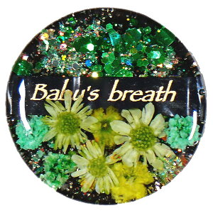 y\zy10OFFN[|zzzSt}[J[ ubNV[Y2  Nbv }Olbg v[g ii LOi z[C Ry p 킢  