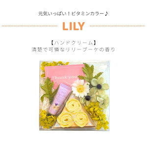 XyV{bNX nhN[ nh\[v \[vt[ Mtg{bNX Mtg v[g 蕨 a  LO Ԃ   ̓  o KN  ޏ Vw F