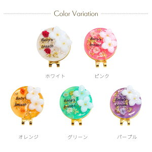 y\zy10OFFN[|zzz St}[J[ ANZT[V[Y  킢 Nbv }Olbg  CjV v[g St }[J[ IWi