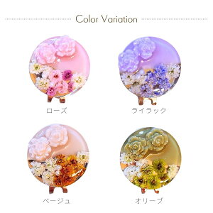 y10OFFN[|zzzSt}[J[ Q[YV[Y ݌n@킢 Nbv }Olbg  v[g St }[J[ IWi ii LOi