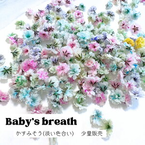 y[ցz݂ WF   50 wbĥ ԍ W W TVF A}bNX ޗ  f ԑf p[c ANZT nhCh ֗ JX~\E 