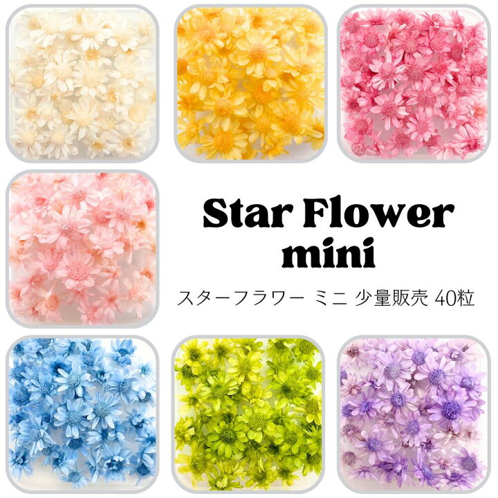 楽天市場】【メール便】スターフラワーミニ 40粒 小分け 少量 ヘッド 