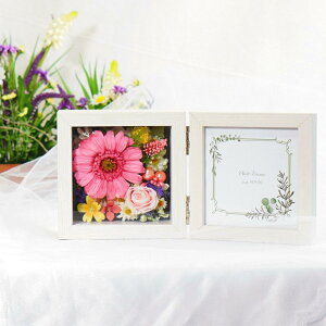 Ԃ̃tHgt[ ~j vU[uht[ ʐ^ Mtg v[g 蕨 a t[ j LO LO EFfBO Ԃ  ̓  o  ޏ V