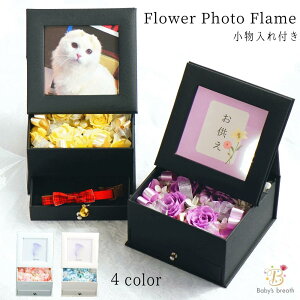 `FLTCYΉ Ԃ̃tHgt[ t XNGA ʐ^ tHgt[  WG[P[X  vU[uht[