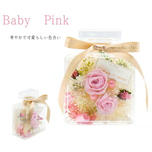 Profumo rAW pXeJ[ vU[uht[ AN AW  ͂Ȃ ̓ hV̓ Mtg v[g 蕨 a j j LO LO ސE