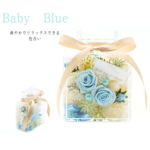 Profumo rAW pXeJ[ vU[uht[ AN AW  ͂Ȃ ̓ hV̓ Mtg v[g 蕨 a j j LO LO ސE