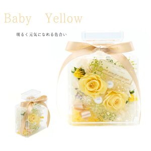 ynhN[Zbgz Profumo rAW pXeJ[ vU[uht[ vU AN AW  ͂Ȃ ̓ nhN[ lCN[