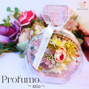 Profumo mio rAW vU[uht[ AN AW  ͂Ȃ ̓ hV̓ Mtg v[g 蕨 a j j LO LO ސEj җ 
