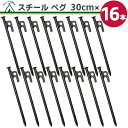 【楽天1位】スチール ペグ 30cm【16本】 高強度 引き抜き穴付き ペグスチール テント タープ 設営 キャンプ アウトド…