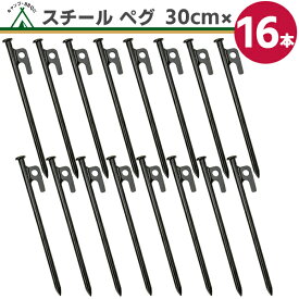 【楽天1位】スチール ペグ 30cm【16本】 高強度 引き抜き穴付き ペグスチール テント タープ 設営 キャンプ アウトドア 家族 イベント DIY 土 砂地 草地 BBQ 野外フェス 防災 バーベキュー アウトドア用品 強靭 頑丈 夏休み スチール製 ネコポス便送料無料
