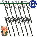 【楽天1位】スチール ペグ 30cm【12本】高強度 引き抜き穴付き ペグスチール テント タープ 設営 キャンプ アウトドア 家族 イベント DIY 土 砂地 草地 BBQ 野外フェス 防災 バーベキュー アウトドア用品 強靭 頑丈 夏休み スチール製 ネコポス便 送料無料