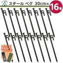 【楽天1位】スチール ペグ 30cm【16本】 高強度 引き抜き穴付き ペグスチール テント タープ 設営 キャンプ アウトドア 家族 イベント DIY 土 砂地 草地 BBQ 野外フェス 防災 バーベキュー アウトドア用品 強靭 頑丈 夏休み スチール製 ネコポス便送料無料