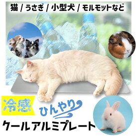 【楽天1位】ひんやりアルミプレート（中）小動物 用品 ひんやりグッズ クールマット 夏対策 冷たい エアコン 涼感 冷却 はりねずみ モルモット 30cm 20cm 小型 涼感プレート プレート うさぎ ケージ 暑さ対策 ひんやり マット ペット用品 ネコポス無料！