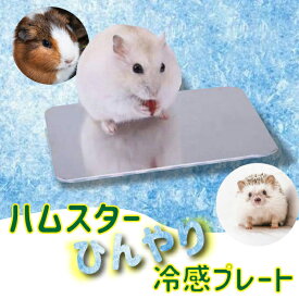 【楽天1位】ハムスター用冷却プレート（小） 小動物 用品 ひんやりグッズ クールマット 夏対策 冷たい エアコン 涼感 冷却　はりねずみ モルモット 10cm 6cm 小型 涼感プレート プレート うさぎ ケージ 暑さ対策 ひんやり マット ペット用品 小動物 定形外送料無料！