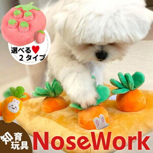 m[Y[N ɂ񂶂  ybg m kog[jO  ʂ gC  L p ybgp ̃pY Q[  {Ph~ Hh~ Hׂh~ koh 