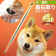 【楽天1位】ペット用 歯石取り 安全 口腔ケア 器具 スケーラー 犬用 猫用 犬 猫 ネコ 虫歯 虫歯予防 歯髄…