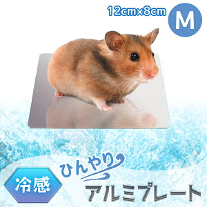 ЂA~v[giMj 12cm×8cm nX^[  pi ⊴ ЂObY N[}bg đ΍ ₽ GAR  p ͂˂ S[f ^ v[g v[g 