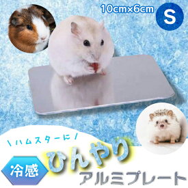 【楽天1位】ひんやりアルミプレート（S）10cm×6cm ハムスター 小動物 用品 冷感 ひんやりグッズ クールマット 夏対策 冷たい エアコン 涼感 冷却 はりねずみ ジャンガリアン 小型 涼感 プレート うさぎ ケージ 暑さ対策 ひんやり マット ペット用品 定形外送料無料！