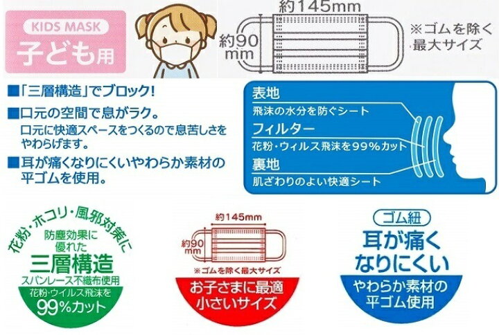 供え スケーター Mskp40 不織布プリーツマスク 大人用 プリンセス 30枚入 Fucoa Cl