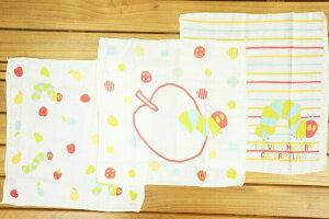 ERiC CARLE͂؂ނ K[[nJ`3gIH1460
