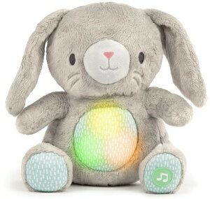 y/ꕔn揜zKidsII ingenuityCWFjCeB ̃VB[ESʂ݁y0`z