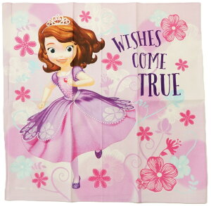 { `NXi唻nJ`[t43cmX43cmjy\tBA t[X^C z