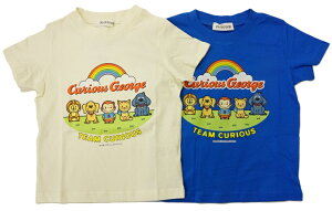 PICKPICKiJ^̃W[WTVcTEAM CURIOUS(2gfUC)SN8860100%Vf