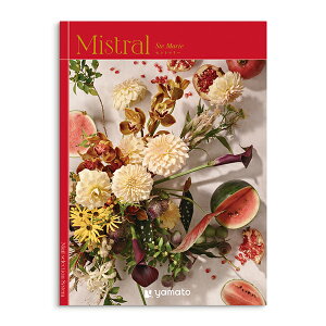 y݁zyIzIׂJ^OMtgZg}[yoYj j Ԃ jԂ ԗzy䒆 wj j Vzjz