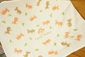 y[֗pI݁zxr[p`K[[^I o17-25043yVNr[z