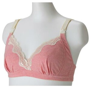 y[֗pI݁zn[tgbv sNBR1569