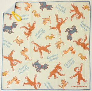 y[֗pI݁z ؂؂NX(`NX43cmX43cm)̃W[W(z敪B)