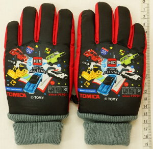 y[֗pI݁zg~J ߏ̂oXL[Ⴀїpɂg\ N 5{w5`6Ηp TM21584(i37)