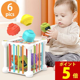 【62％オフ！6,000円⇒2,280円＆P5倍】【親子の絆を深める知育おもちゃ】 マジックキューブ モンテッソーリ 知育玩具 ブロック 知育おもちゃ 教具 おもちゃ 玩具 1歳 2歳 3歳 型はめ 出産祝い ギフト 誕生日 プレゼント