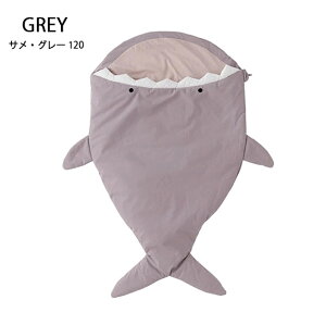 yő400~OFFN[|zzzRIO X[sOobO  yA80800zoYj xr[zc  킢 Ԃ xr[ Mtg v[gybsOszyvGg[zy11/