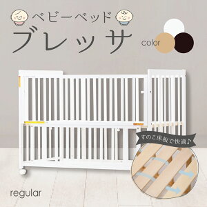 xr[xbh ~jxr[xbh xbh Ԃ Q Ђ ̂ ̂xbh i` zCg uE ubT g~