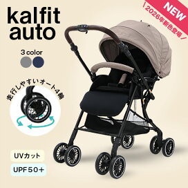 5月25日24H限定 さらにエントリーでポイント12倍+最大100％ポイント 