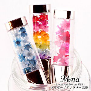 yizvU[uht[USB 16gb  t[ 킢   ԍ hCt[ vU[uht[  킢 ̓ Mtg v[g mxeB[ mxe