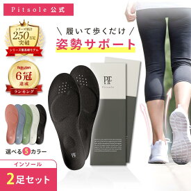【今だけ＋1足！】ピットソール 正規品 インソール ダイエット 中敷 疲れない 姿勢 矯正 立ち仕事 疲れにくい 長時間歩行 アーチサポート 衝撃吸収 扁平足 浮き指 姿勢補整 骨盤サポート 調整 pitsole 2足SET