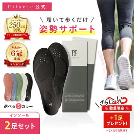 【今だけ＋1足！】ピットソール 正規品 インソール ダイエット 中敷 疲れない 姿勢 矯正 立ち仕事 疲れにくい 長時間歩行 アーチサポート 衝撃吸収 扁平足 浮き指 姿勢補整 骨盤サポート 調整 pitsole 2足SET