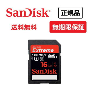 yAEgbgzy[ց@z[J[Ki@ۏ؁@SanDisk(TfBXN) @SanDisk Extreme SDHC UHS-I J[h SDSDXS-016G-J35@GNXg[yKi [J[F CEXgA