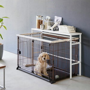 ybgP[Wp[ R Ki tower ^[ LkybgP[WドbN ybgP[WXy[XLp Lk Q[W bN ybgpi pi ybgP[WドbN Q[W