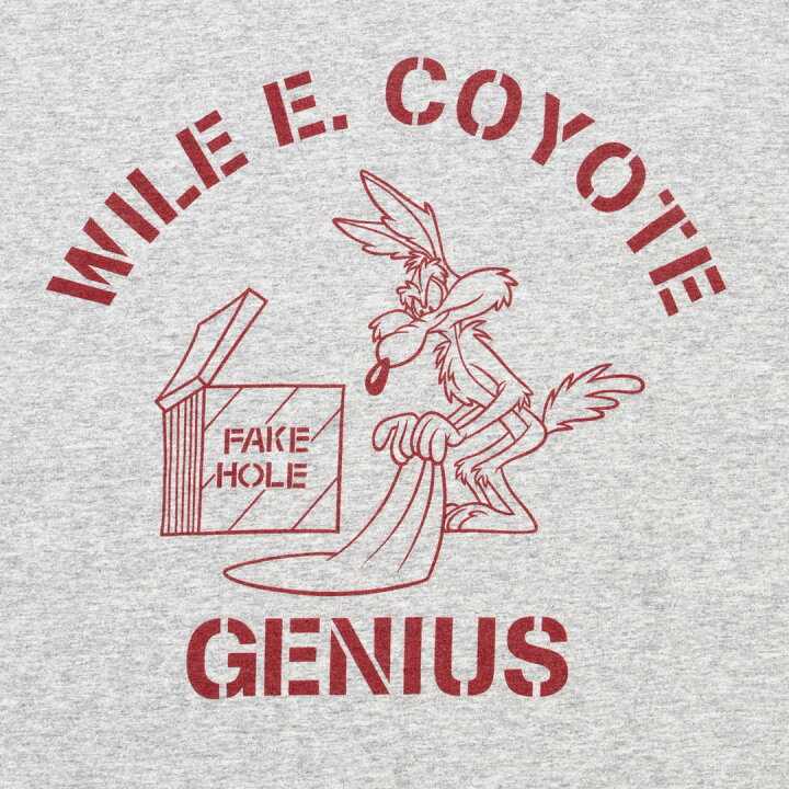 楽天市場】アメカジ tシャツ メンズ ワーナーブラザーズ ルーニー 