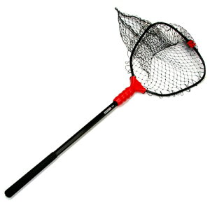 y݌Ɍ̓ʉiz EGO S1 GENESIS@fBOlbg@iC@MTCY