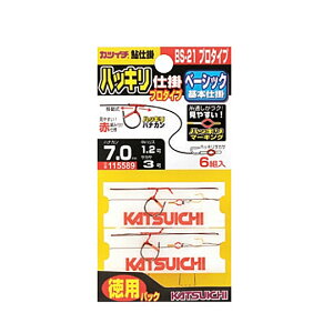 �J�c�C�`�@ BS-21�@�n�b�L���d�|�@�v���^�C�v �@�@Katsuichi