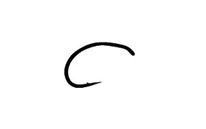 ܂ C12(FB) 20